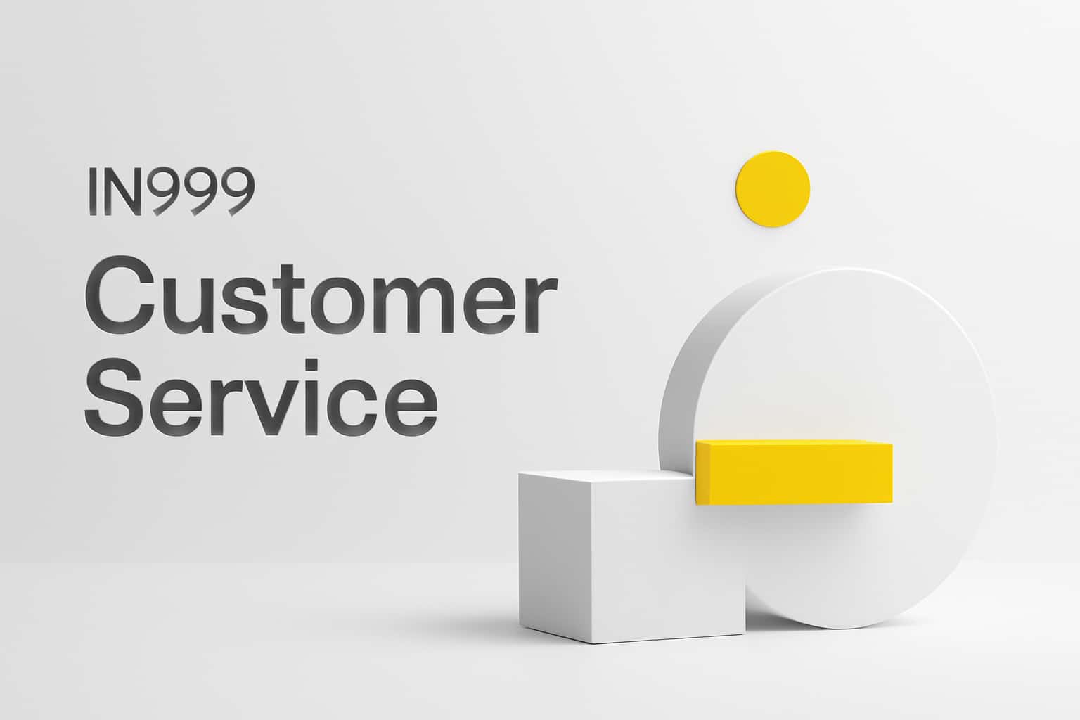 IN999 Customer Service Interface