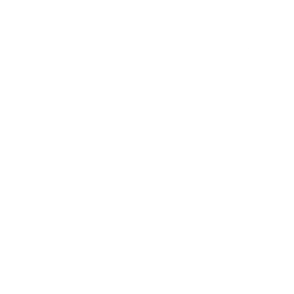 Icon illustrating the theme of optimizing security settings for IN999.